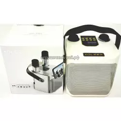 Портативная колонка караоке KOLEER S882